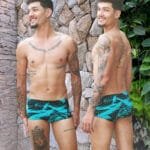 Sunga Tradicional Fuzzuê Fascínio Estampada 604526